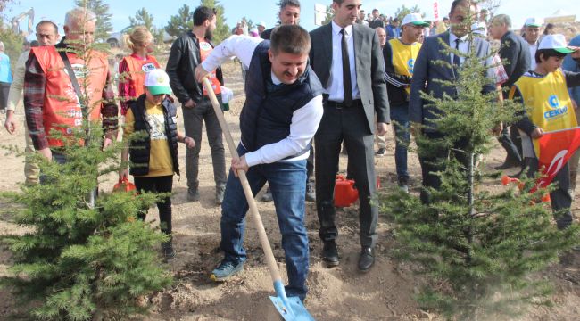 Karaman'da 'Milli Ağaçlandırma Günü'nde 5 bin fidan toprakla buluşturuldu  