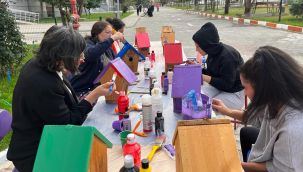 Karaman'da öğrenciler rengarenk kuş evleri yaptı 