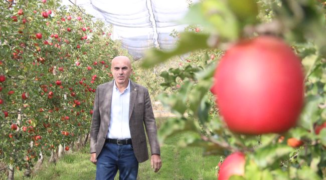 Elmanın büyükşehirlerde yüksek fiyattan satılması üreticisini de rahatsız ediyor 