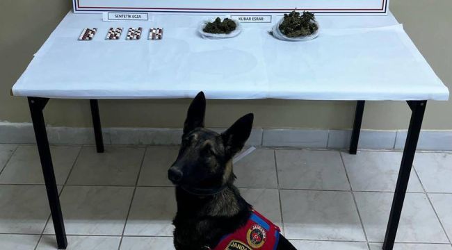 Narkotik köpeği ile arama yapılan araçta uyuşturucu ele geçirildi 
