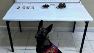 Narkotik köpeği ile arama yapılan araçta uyuşturucu ele geçirildi 