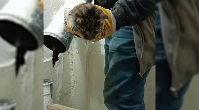 Karaman'da lağım borusuna giren kedi, 3 gün sonra kurtarıldı 