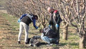 Karaman'da bir kişi elma bahçesinde ölmüş olarak bulundu 