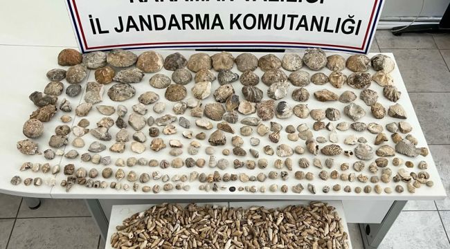 Karaman'da jandarmadan fosil operasyonu 
