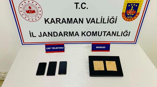 Karaman'da kağıda emdirilmiş bonzai ele geçirildi 