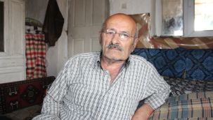 Bu köpeklerin silahtan farkı yok, ağır cezalar getirilsin