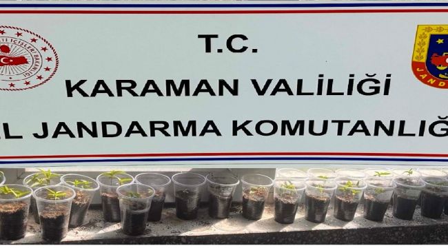 Jandarmadan uyuşturucu operasyonu