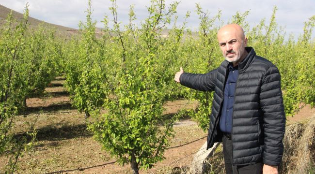 Karaman'da dolu ve sel 100 bin dekar ekili alanda zarara yol açtı
