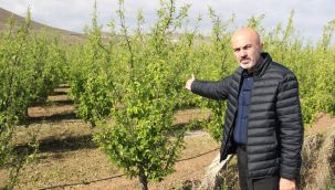 Karaman'da dolu ve sel 100 bin dekar ekili alanda zarara yol açtı