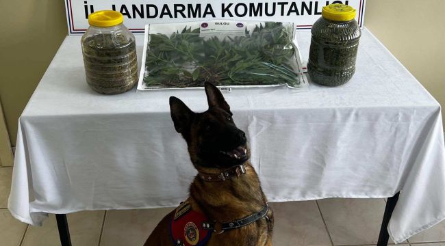 Karaman'da evinde uyuşturucu bulunan şahıs tutuklandı