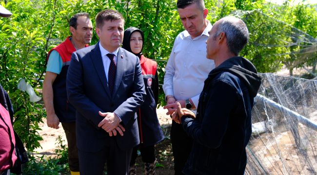 Vali Sarıibrahim, dolunun zarar verdiği arazilerde incelemelerde bulundu 