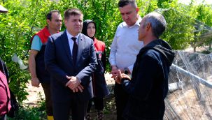 Vali Sarıibrahim, dolunun zarar verdiği arazilerde incelemelerde bulundu 