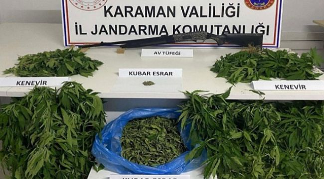 Karaman'da kenevir operasyonu: 1 tutuklama 