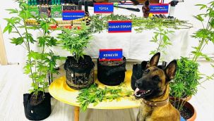 Jandarmadan uyuşturucu operasyonu: 3 gözaltı  