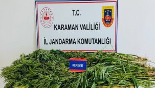 Karaman'da kenevir operasyonu: 3 gözaltı 