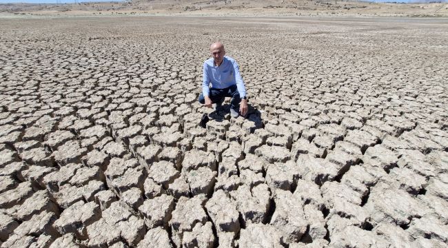 Karaman'da Kurtderesi barajı kurudu, binlerce balık öldü