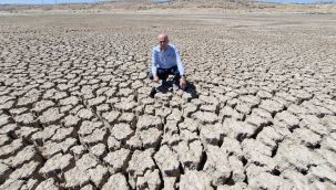 Karaman'da Kurtderesi barajı kurudu, binlerce balık öldü