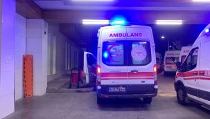 Kavgayı ayırmaya çalışan dayısını kazara öldürdü