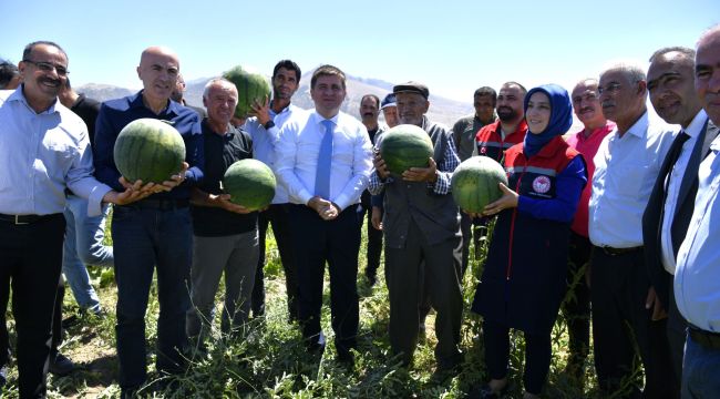 Vali Hüseyin Engin Sarıibrahim, karpuz hasadına katıldı 