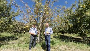 Karaman'da kuyulardan tuzlu su çıkmaya başladı 