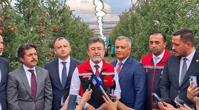 Bakan Yumaklı, Karaman'da elma hasadı yaptı 