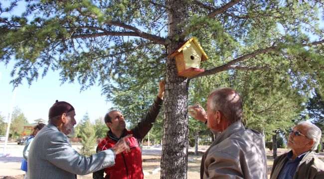 Karaman'da kuş evleri ağaçlara yerleştirildi 