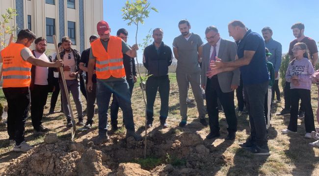 Üniversite yerleşkesinde çınar fidanları toprakla buluştu