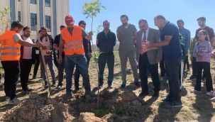 Üniversite yerleşkesinde çınar fidanları toprakla buluştu 