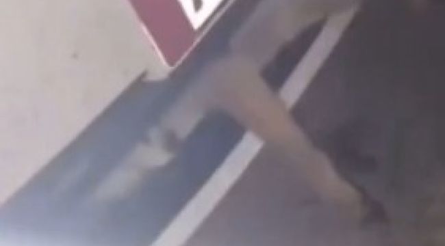 Otomobilin çarptığı tilki tampon panjuruna sıkıştı