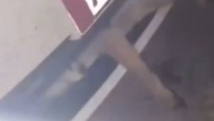 Otomobilin çarptığı tilki tampon panjuruna sıkıştı