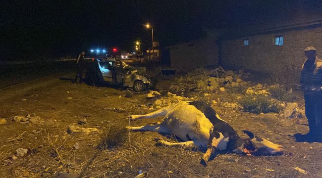 Yola çıkan ineğe otomobilin çarpması sonucu 5 kişi yaralandı