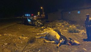 Yola çıkan ineğe otomobilin çarpması sonucu 5 kişi yaralandı