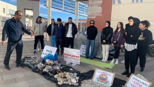  Bir metrekare alandan yaklaşık 750 sigara izmariti toplandı