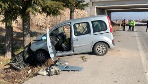 Ağaca çarpan hafif ticari araçtaki 2 kişi ölümden döndü