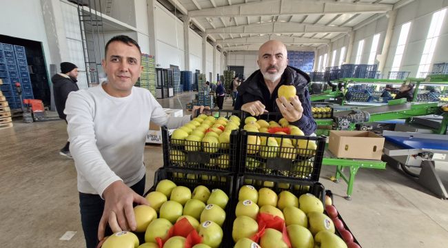 Ahmet Kapar: "Elma fiyatını maliyetler yükseltiyor" 