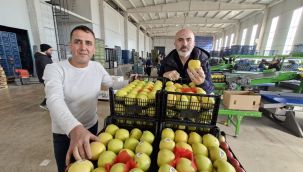 Ahmet Kapar: "Elma fiyatını maliyetler yükseltiyor" 