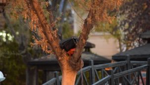 Fünye ile patlatılan çantadan para çıktı 