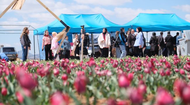 Karaman'da lale tarlasını bu yıl 200 bin kişinin ziyaret etmesi bekleniyor