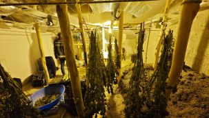 Karaman'da uyuşturucu yetiştirilen gizli seraya polis baskını 