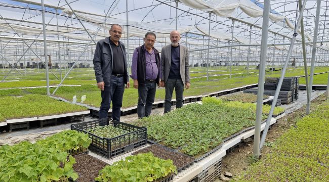 Karaman'da bir çiftçi kurduğu serada 5 milyon fide üretiyor
