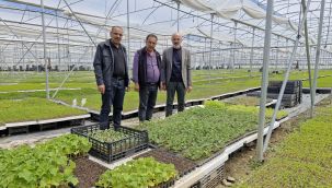 Karaman'da bir çiftçi kurduğu serada 5 milyon fide üretiyor   