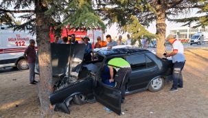 Kontrolden çıkan otomobil orta refüjdeki ağaca çarptı: 1 yaralı 