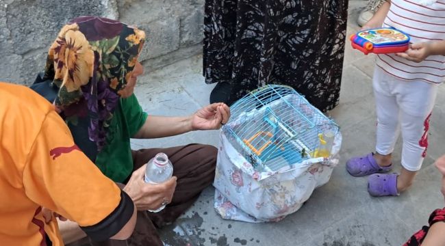 Hacer teyze can yoldaşını ölüme terk etmedi 