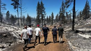 Vali Mehmet Fatih Çiçekli: "Yangın tamamen kontrol altına alındı" 