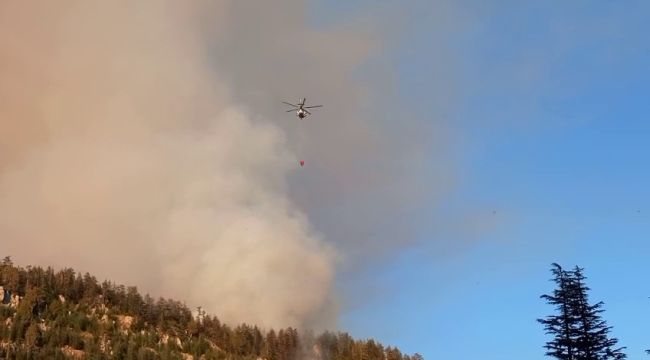 Valilik: "Orman yangınına 137 personel ve 3 helikopterle müdahale ediliyor"  