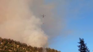 Valilik: "Orman yangınına 137 personel ve 3 helikopterle müdahale ediliyor"  