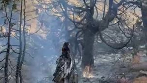 Ayrancı ilçesinde çıkan örtü yangını ağaçları da yaktı 