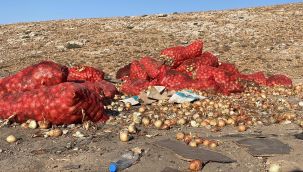 Boş araziye dökülen tonlarca soğanı vatandaşlar evlerine götürdü 