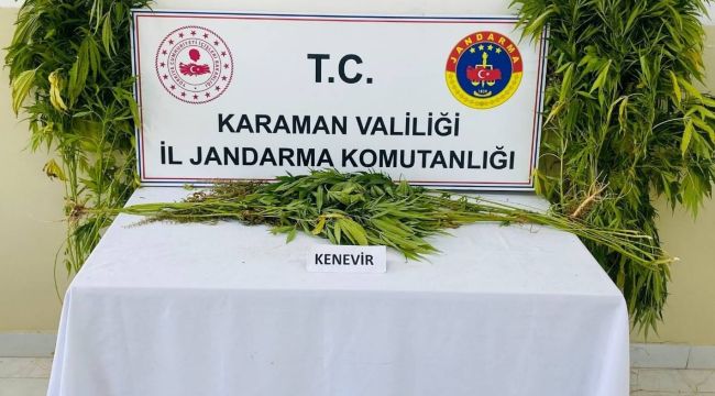 Karaman'da 27 bin 500 adet makaron ele geçirdi 