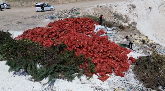 Karaman'da tonlarca soğan, boş araziye atılmış halde bulundu 